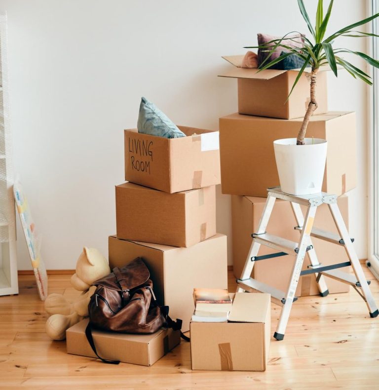 Stapel von Kartons mit einer Pflanze und einer Leiter in einem hellen Raum.